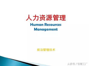 文章 人力资源管理 全套培训