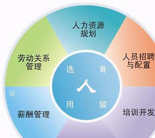 职场百科 人力资源证书怎么考 人力资源证书考试考什么