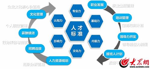 创新打造人力资源管理系统促进 数字 人力资源 行业整体效能提升 潍坊人力资源服务数字化转型纪实 二